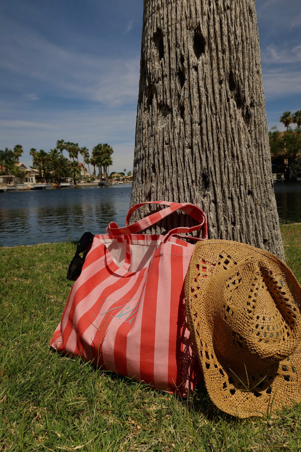 Isla striped bag
